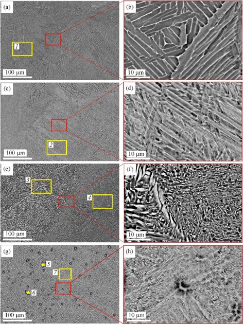 SEM images of the microstructure of additively manufactured Ti-6Al-4V ...