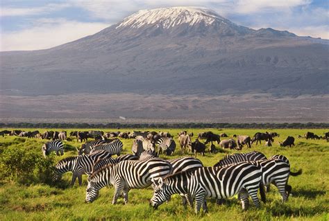 Best Kenyan National Parks To Take Your Family This Holiday