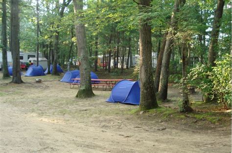 The Pines Camping Area - 4 Photos - Salisbury, MA - RoverPass