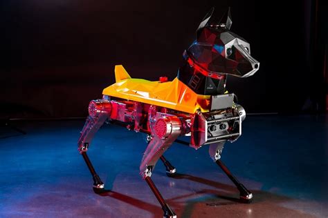 Astro robot dog learns new tricks using deep neural networks
