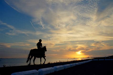 Download Horse Riding Woman Silhouette Sunset Beach Wallpaper | Wallpapers.com