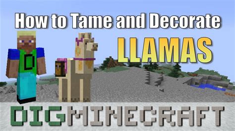 How To Put Carpet On A Llama In Minecraft