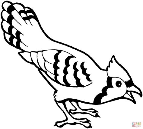 Blue Jay Bird coloring page | Free Printable Coloring Pages | Bird ...