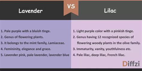 Lavender vs. Lilac - Diffzi | Lilac, Lavender, Lilac wedding