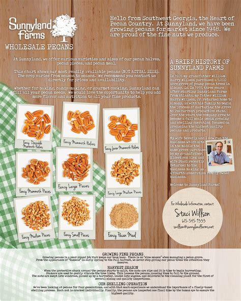 Sunnyland Farms Wholesale Pecans Brochure | Explore Georgia