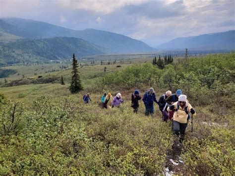 Best Denali National Park hikes and trekking