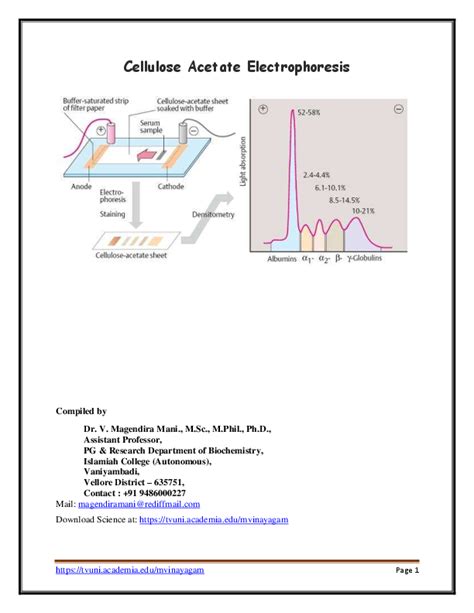 (PDF) Cellulose Acetate Electrophoresis | magendira mani vinayagam - Academia.edu