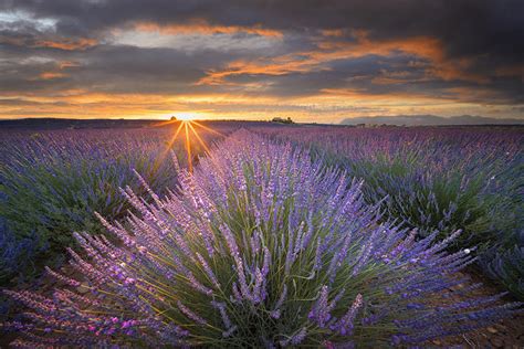 Tuscany Photography Tour, the best Italy photo tours and workshops