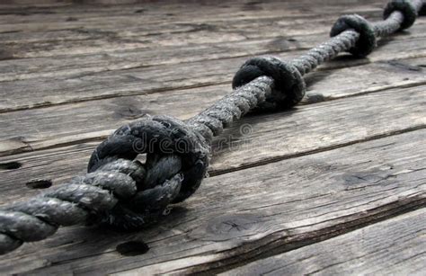 Rope & Knots stock photo. Image of corded, cord, docked - 411558