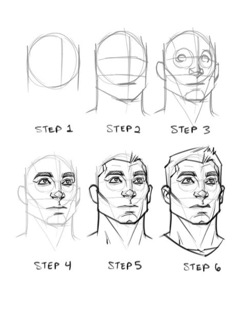 face anatomy drawing tutorial - Livia Overstreet