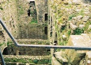 Blarney Castle - Semi-Ruined Tower Castle in IrelandS