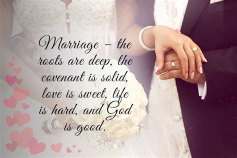 220+ Awesome Marriage Quotes _ Beautiful Marriage Quotes