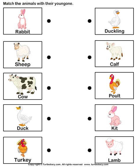 Baby Farm Animals Names | Turtle Diary Worksheet