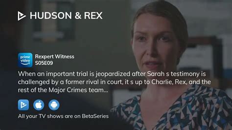 Where to watch Hudson & Rex season 5 episode 9 full streaming ...