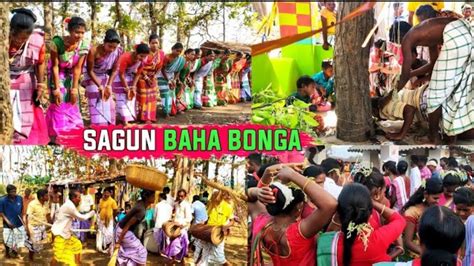 Baha Bonga Santhali Song 2024 ।। Sagun Baha Bonga Santhali Video ।। New Santhali Video ...