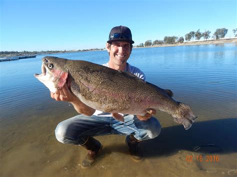 Santa Ana River Lakes Fishing Spots - Unique Fish Photo