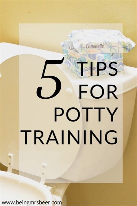 5 Tips for Potty Training | Potty training tips, Potty training, Potty training help