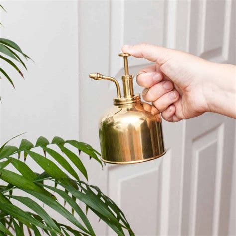 Modern Sprout Brass Mister - Gift Delivery NYC - PlantShed.com