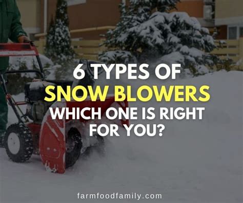 6 Different Types of Snow Blowers: Which One is Right for You?