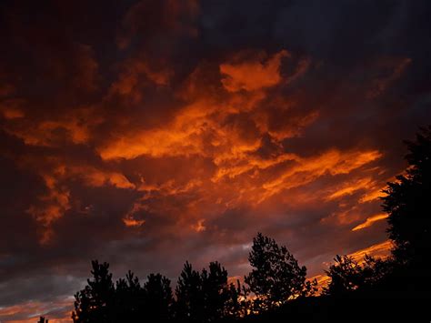 4K free download | Sky in fire, clouds, dark, forrest, nature, orange ...