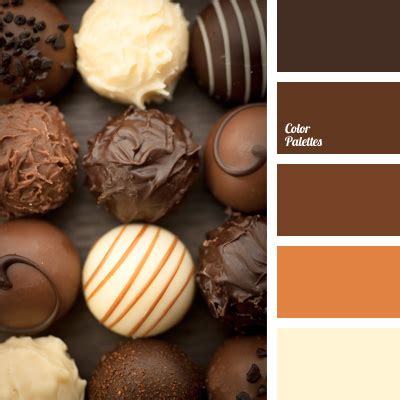 monochrome palette of brown | Color Palette Ideas