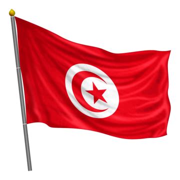 Tunisia Flag Fluttering With Cloth Texture, Tunis, Red, Flag PNG Transparent Clipart Image and ...