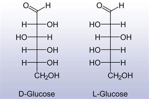 Monosaccharide Definition and Functions