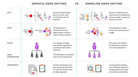 Harvard researchers share views on future, ethics of gene editing ...