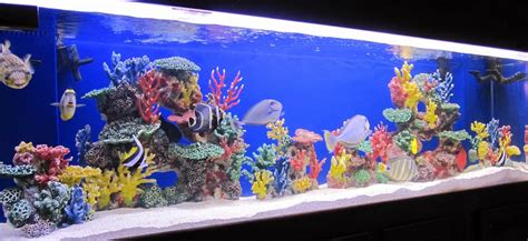 Fake Coral Reef Decorations for Colorful Freshwater Fish Aquariums Instant Reef DM048PNP Large ...