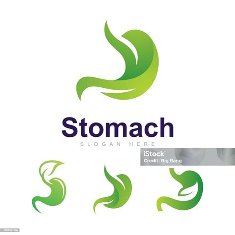 Estomac Avec Feuille Logo Vector Design Template Creative Stomach Symbol Vecteurs libres de ...