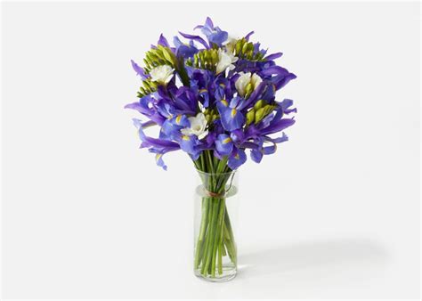 The Purple Iris » Send Flower Bouquets | Flowers bouquet, Purple iris, Flower delivery