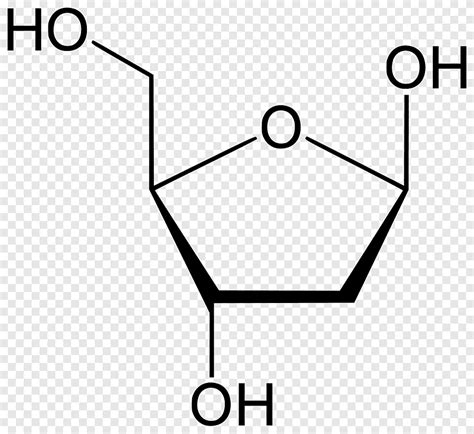 Monossacarídeo ribose furanose de frutose, carboidrato, estrutura de reação, ângulo, branco png ...