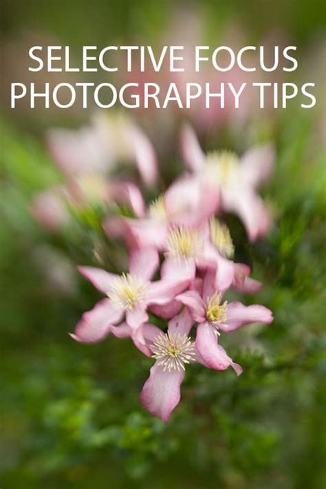 Selective Focus Photography Tips | Discover Digital Photography