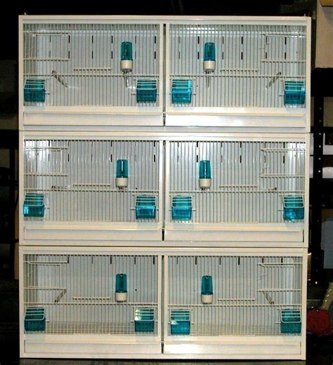 finch breeding cages for sale #parrotcageideas #parrotcagediy | Cages for sale, Bird cage design ...