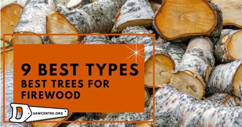 Best Trees For Firewood - 9 Best Types Of Trees