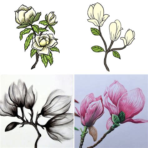 25 Magnolia Flower Drawing Ideas - Draw Magnolia Flower