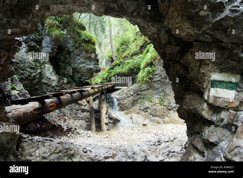 Slovakia Slovensky Raj Slovak Paradise National Park Horad River Gorge ...