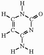 Cytosine Formula & Structure