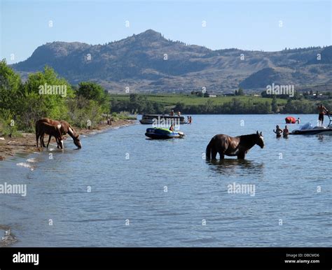 Osoyoos lake hi-res stock photography and images - Alamy