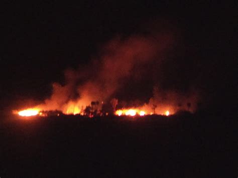 Pretty big fire on Matakana Island BOP : r/newzealand