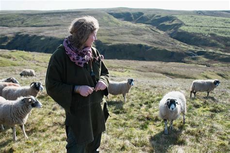 Life for a Yorkshire shepherdess