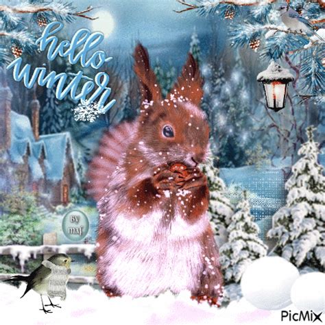 Winter Squirrel - Hello Winter Gif Pictures, Photos, and Images for Facebook, Tumblr, Pinterest ...