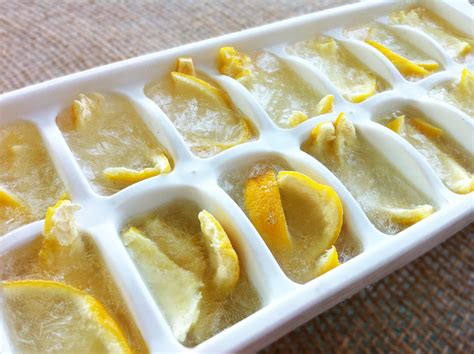 Homemade garbage disposal cleaning cubes | The Family Freezer