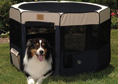 What is the Best Portable Dog Playpen in 2020? - Camp Addict