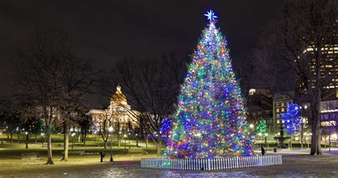 Boston Common Holiday Tree 2020 [12/03/20]