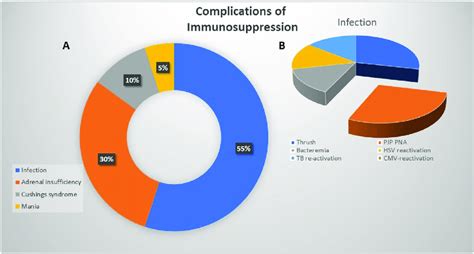 Complications of immunosuppression. (A) Pie chart depicting the most ...