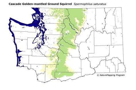 Distribution Map - Cascade Golden-mantled Ground Squirrel (Spermophilus saturatus)