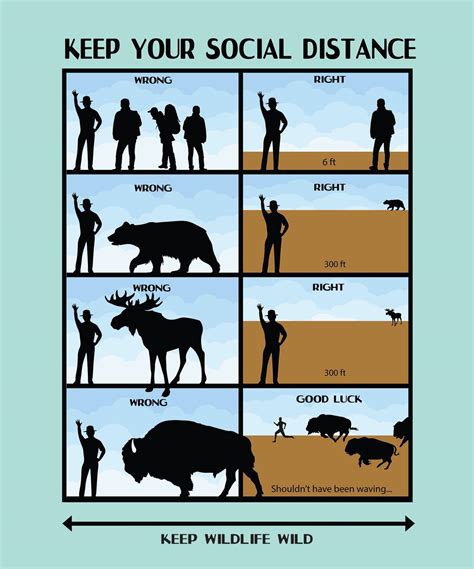 These awesome (and hilarious) posters teach us how to social distance ...