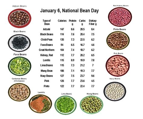 Dietitians Online Blog: January 6, National Bean Day | Beans, Avocado health benefits, Real food ...