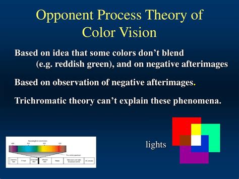 Opponent Process Theory Definition Psychology - DEFINITION GHW